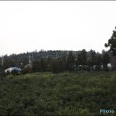 신효동-15 이미지