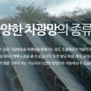 영진인삼