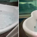 락스파펜션 이미지