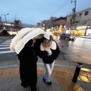 구구쉼터 이미지