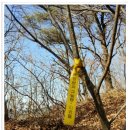 화엄사 주차장 이미지