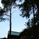 곡성 섬진강 기차마을 펜션 이미지