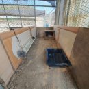 자연부화장 이미지