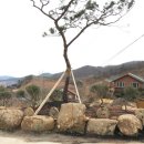 로즈마리팬션 이미지