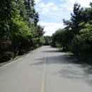 장수천 보행자도로 이미지