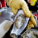 원조하동할매재첩식당 이미지