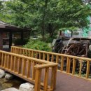 정 팜스테이 이미지