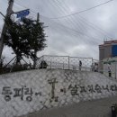 동피랑마을 이미지