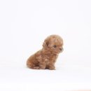 키즈멍 안양본점 이미지