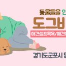도그비잉펫케어 이미지