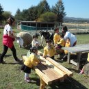 이플어린이집 이미지