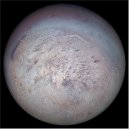 더트리톤 이미지