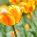 한국관광대학 부설 노인전문병원 이미지