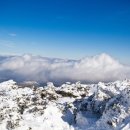 (01/25~01/26) 제주도 한라산 눈꽃 번개산행 안내 이미지