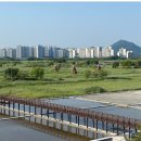 [생태탐방] 소래포구 이미지