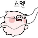 고인돌왕족발 이미지