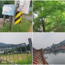 선두바다캠핑장 네이버블로그