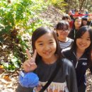 부평초등학교 이미지