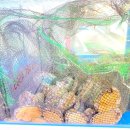 일운면사무소 이미지