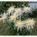 군자중학교 이미지