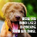 월 이미지