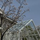 포커스웜 | 대구 본식스냅 업체 선정 - 륜웨딩 연계 포커스웜 & 보이드픽 비교 후기