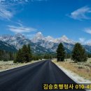 새로이여행사 이미지
