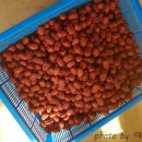 매산농원 이미지