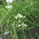 고원관광휴게소 이미지