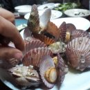 왕희농장 이미지