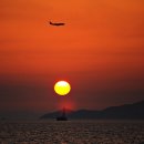 2012년은 흑용띠 해 라고 한다. (임진년) 이미지