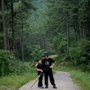 양길리 주차장 | 서산 팔봉산 등산코스 양길주차장~1봉부터 8봉까지~어송임도길~원점회귀