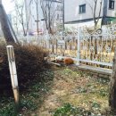 오드그루밍 이미지