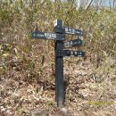 천전초등학교 이미지