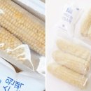 모단농장 이미지