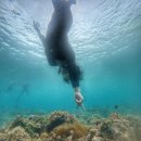 개미휴게식당 | 캐나다 워킹홀리데이를 위한 늦깎이 필리핀 어학연수 - 여섯 번째 주 회고