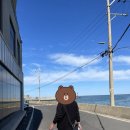 하귀씨 민박 이미지
