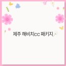 해비치CC 이미지