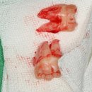 김병수치과의원 이미지