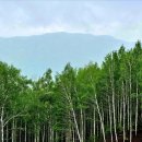 (주)오월의아침 이미지