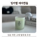 팅커벨 | 집에서 쓰기 좋은 고체탈취제 추천, 팅커벨 에어캔들 사용 후기