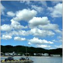 연포해수욕장(송림) 이미지