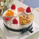 초코네 애견샵 | 일산 케이크 맛집 글래드베이크샵 밤리단길 카페 홀케이크 후기