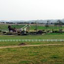 태신목장 이미지