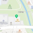 세종 홍복싱 MMA멀티짐 | 세종 복싱 "땀방울은 절대 배신하지 않아요" 세종홍복싱MMA