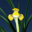 삼양부동산공인중개사사무소 이미지