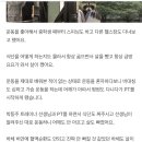 SG피트니스 네이버블로그