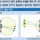 아이비젼안경원 이미지