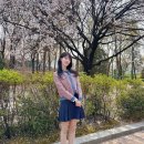 윤다영 카카오 검색결과