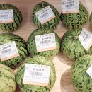 장단콩마을 이미지